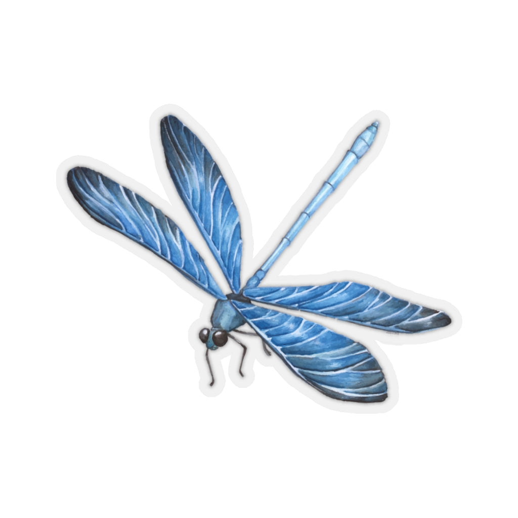  Aesthetic Dragonfly Vinyl Stickers for Teens Boys