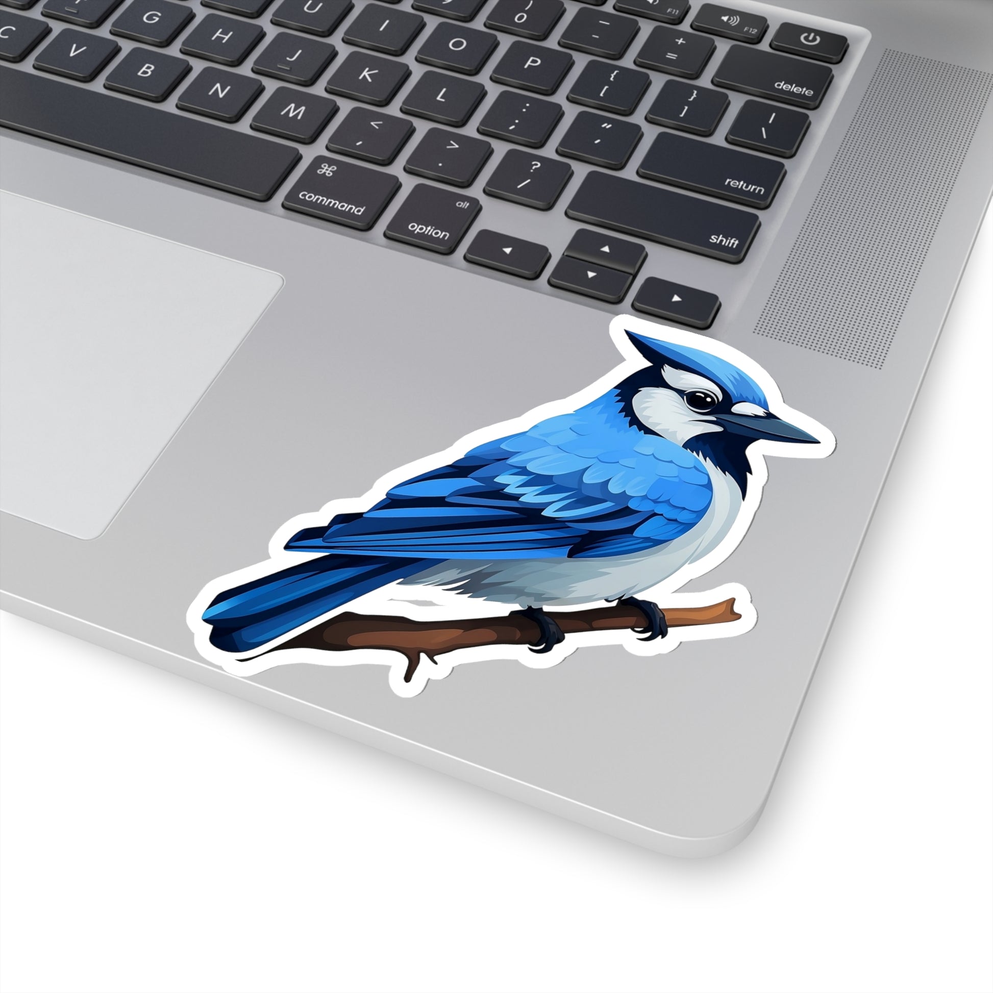 Blue Jay Sticker Decal, Bird Art Vinyl Laptop Cute Waterbottle Tumbler –  Starcove Fashion