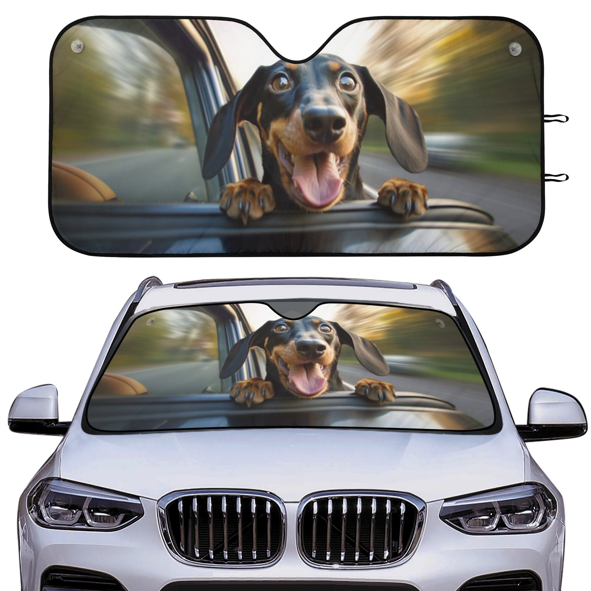 Dog car deals window protector