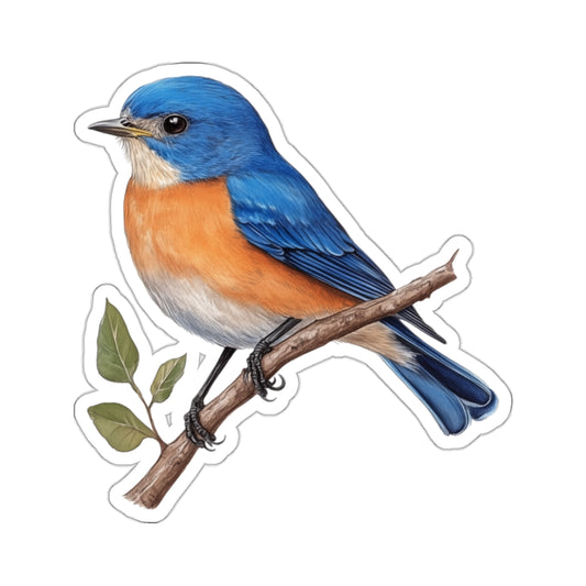 Eastern Bluebird Sticker, Bird Watcher Animal Watercolor Decal Art Vinyl Laptop Waterbottle Car Waterproof Bumper Clear Small Large Die Cut