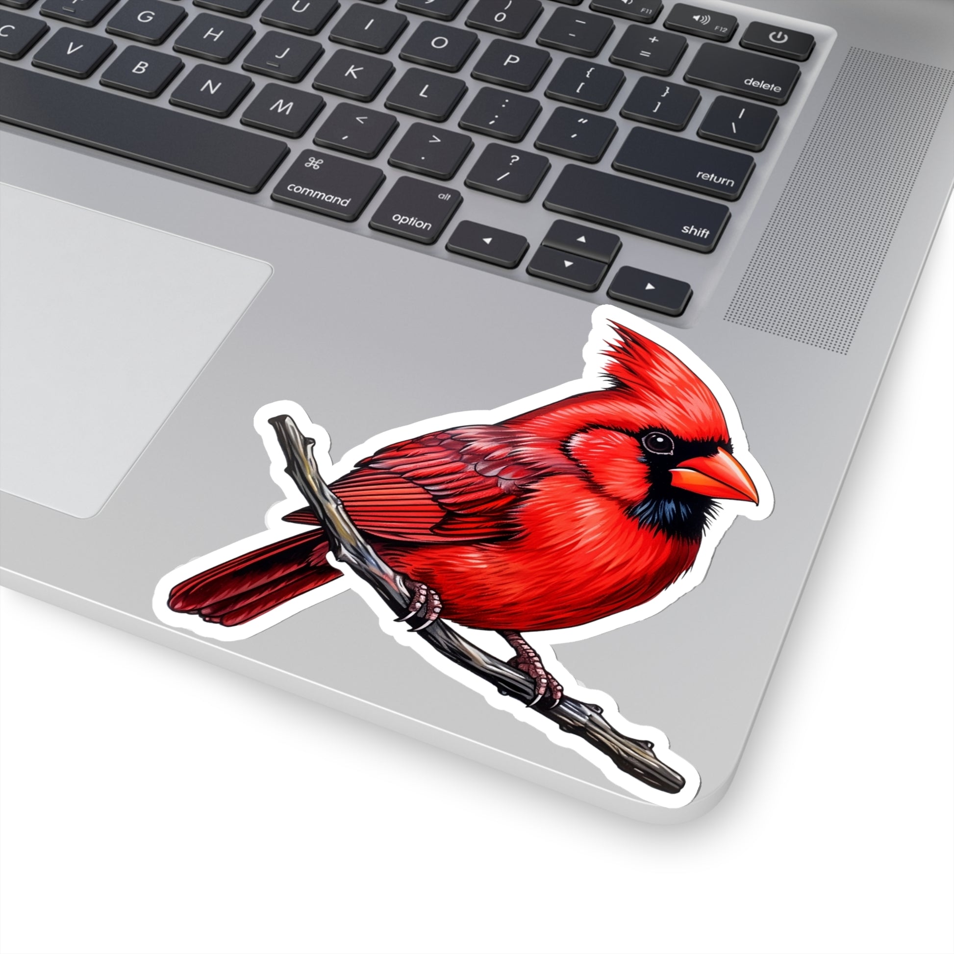 Cardinal Sticker Decal, Red Bird Art Vinyl Laptop Cute Waterbottle Tumbler Car Waterproof Bumper Clear Aesthetic Die Cut Wall Starcove Fashion