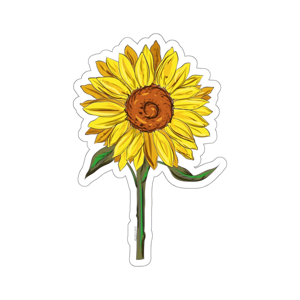 How to Draw a Daisy Yellow Flower - Easy Flower Drawing & Coloring - YouTube