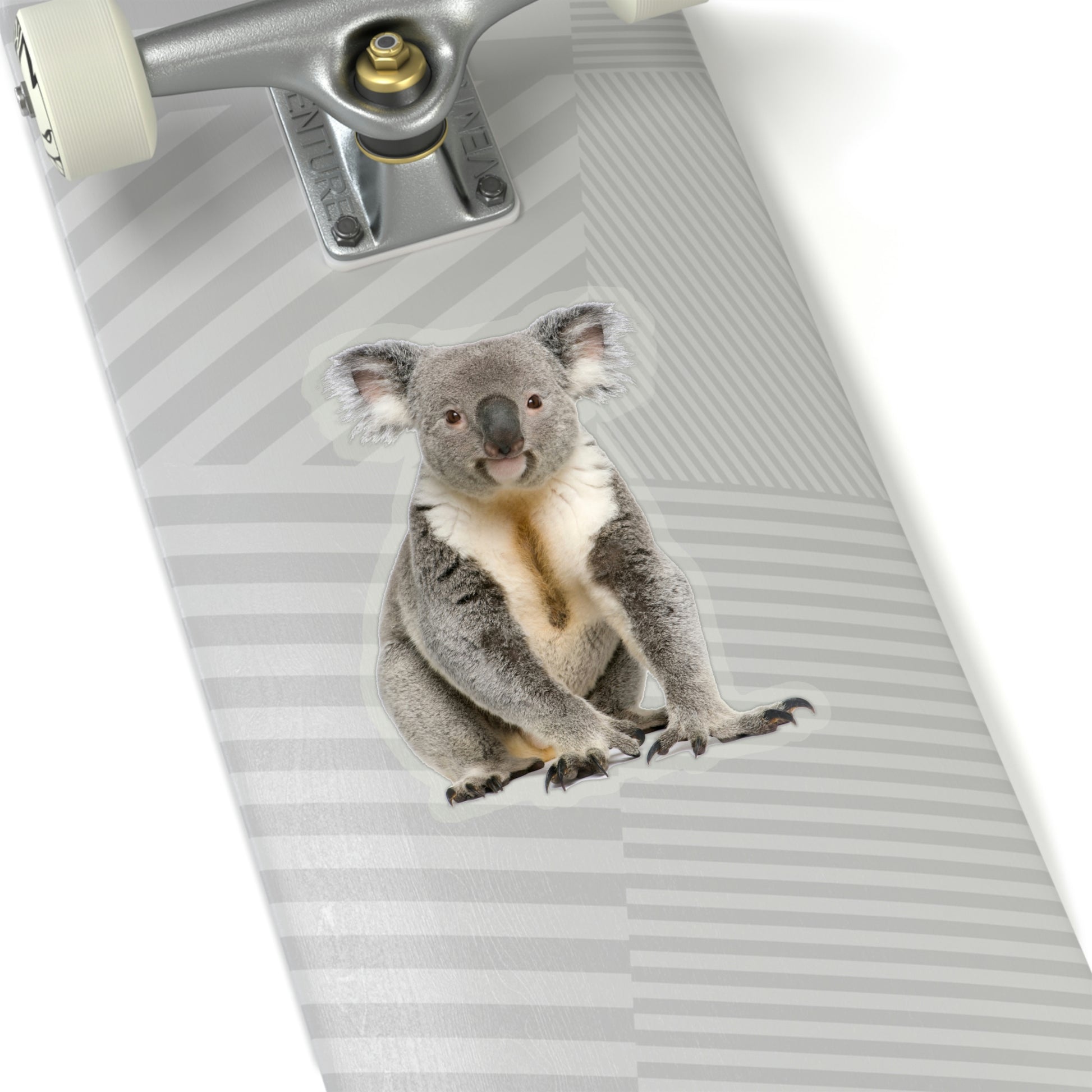 Cute Koala Bear Sitting Acrylic Blank – Moxie Vinyls