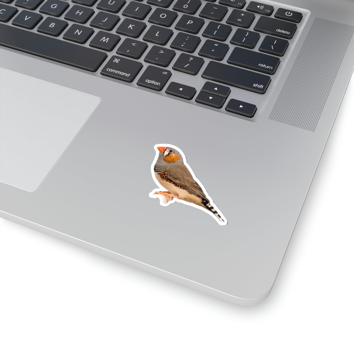 Zebra Finch Sticker, Bird Animal Laptop Decal Vinyl Cute Waterbottle Tumbler Car Waterproof Bumper Aesthetic Die Cut Wall Mural Starcove Fashion