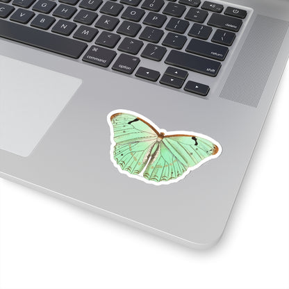 Green Butterfly Sticker, Animal Laptop Decal Vinyl Cute Waterbottle Tumbler Car Waterproof Bumper Aesthetic Die Cut Wall Mural Starcove Fashion