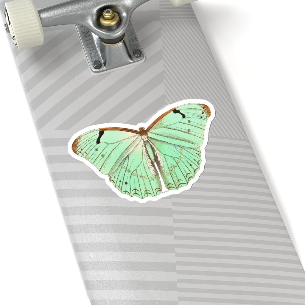 Green Butterfly Sticker, Animal Laptop Decal Vinyl Cute Waterbottle Tumbler Car Waterproof Bumper Aesthetic Die Cut Wall Mural Starcove Fashion