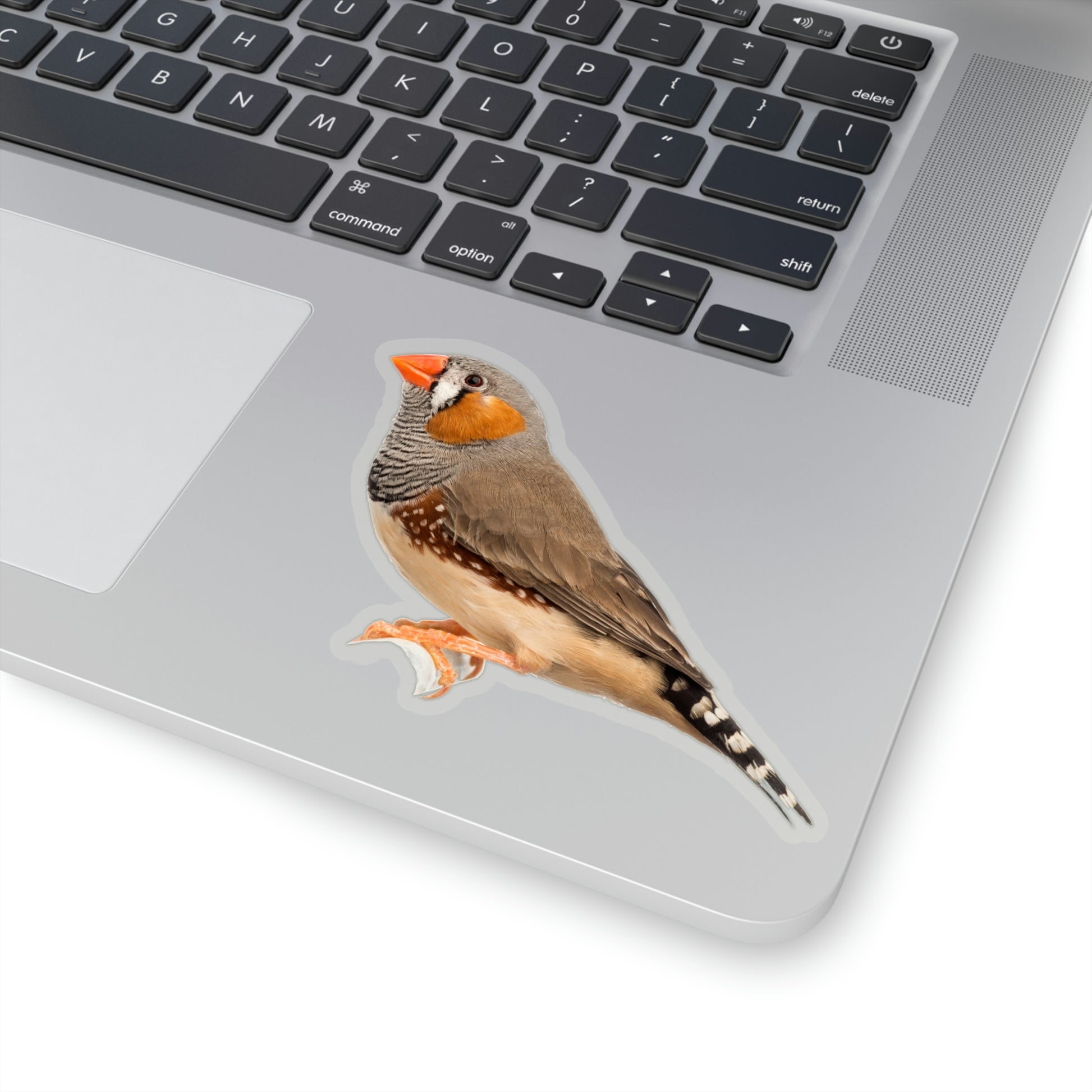 Zebra Finch Sticker, Bird Animal Laptop Decal Vinyl Cute Waterbottle Tumbler Car Waterproof Bumper Aesthetic Die Cut Wall Mural Starcove Fashion