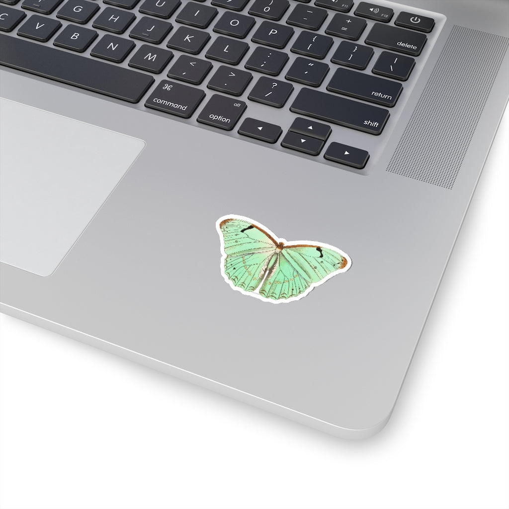 Green Butterfly Sticker, Animal Laptop Decal Vinyl Cute Waterbottle Tumbler Car Waterproof Bumper Aesthetic Die Cut Wall Mural Starcove Fashion