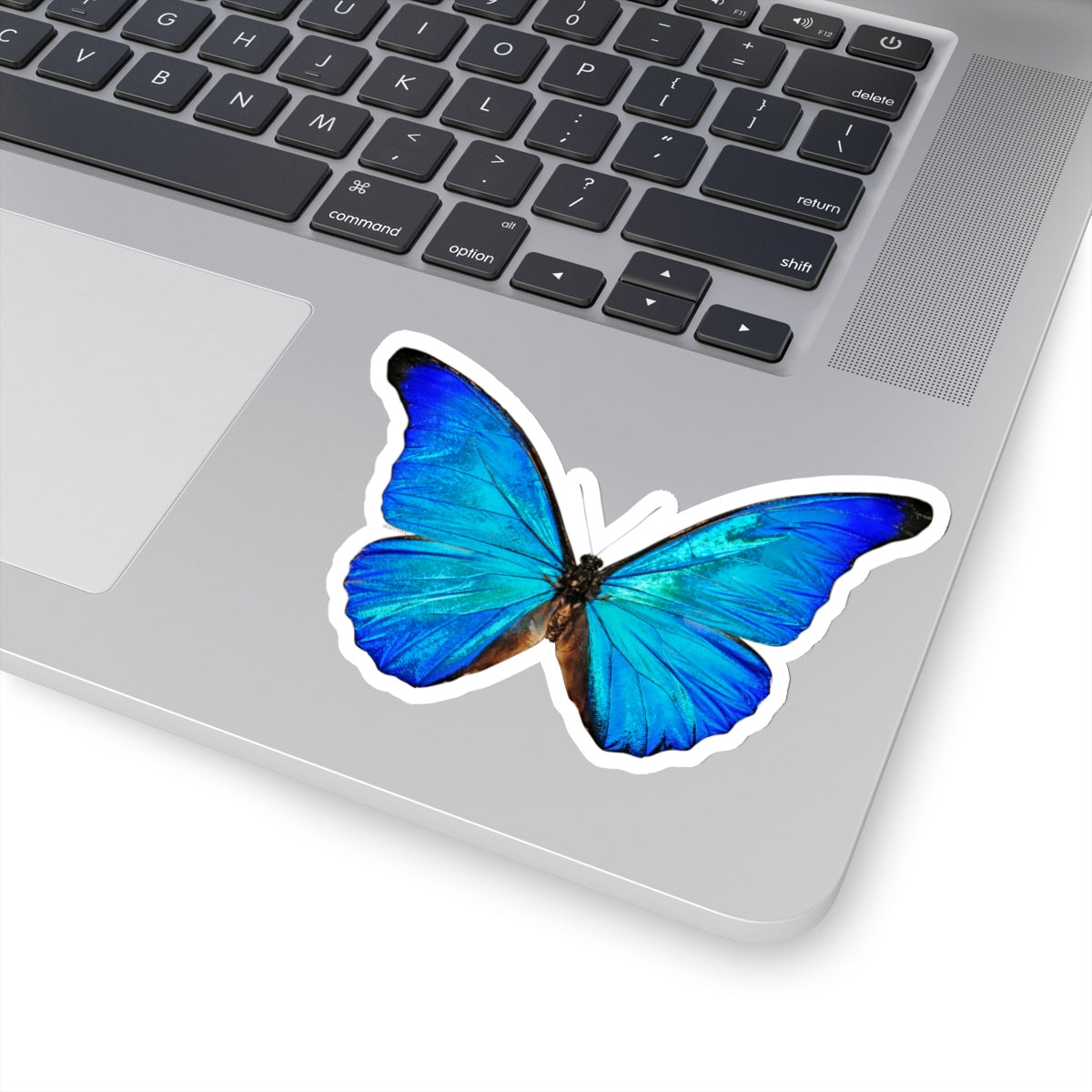 Blue Morpho Butterfly Waterproof Vinyl Sticker